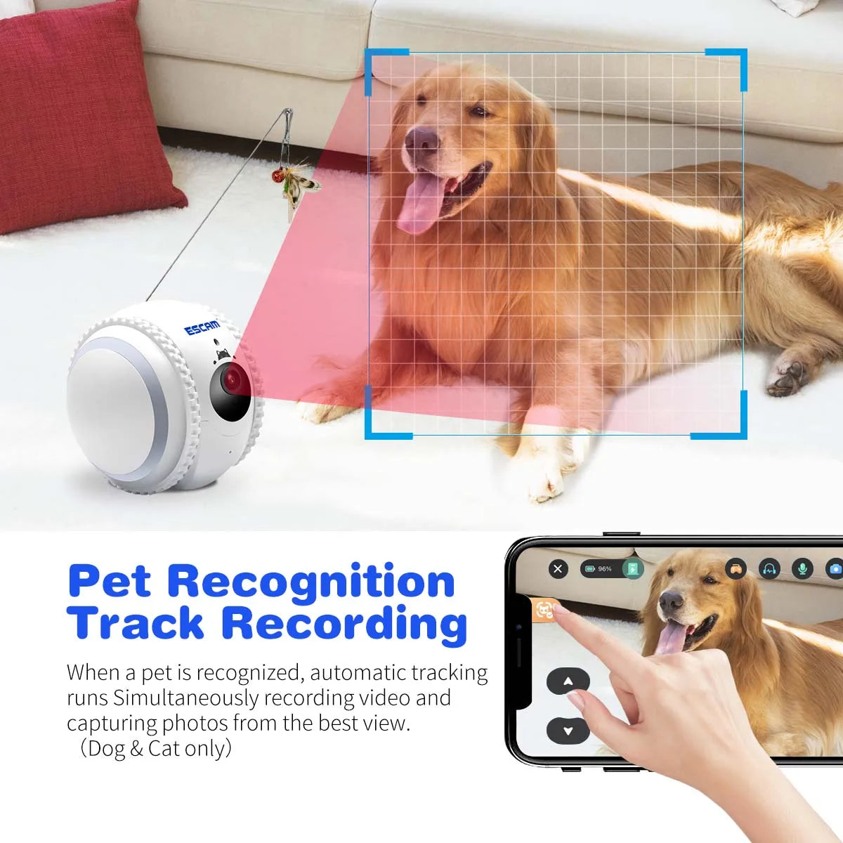 Smart Pet Robot