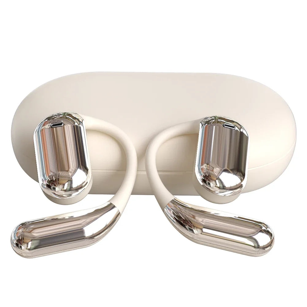 3-in-1 AI Translator Earbuds