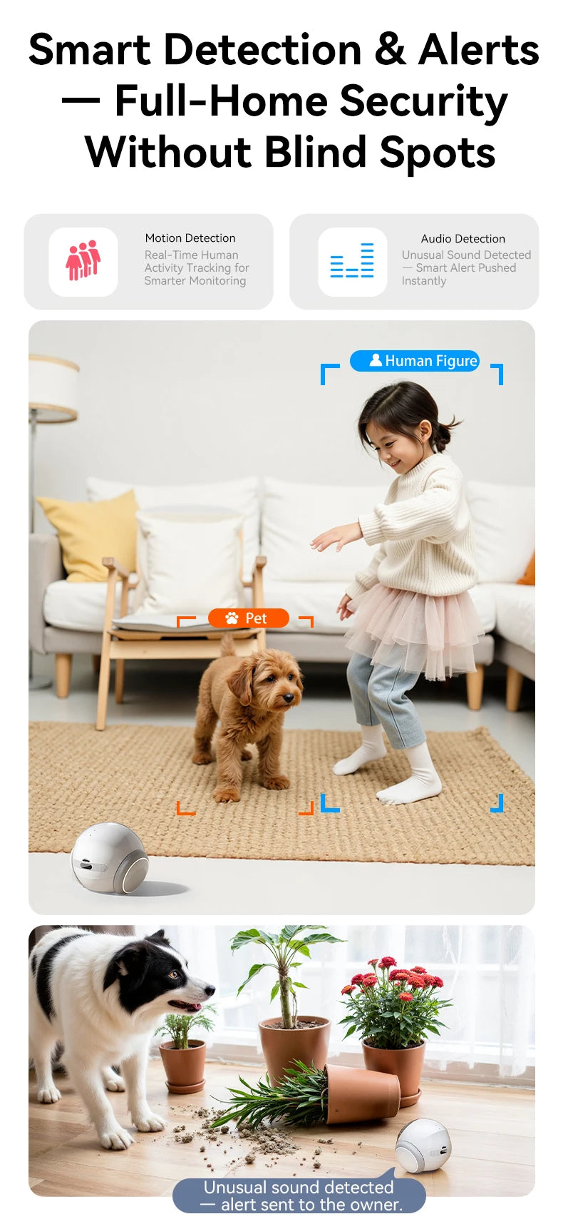 Whole-home Magic Bot