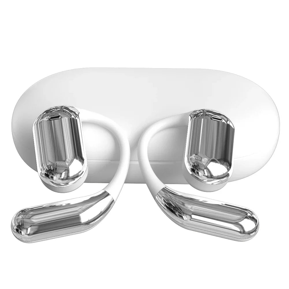 3-in-1 AI Translator Earbuds