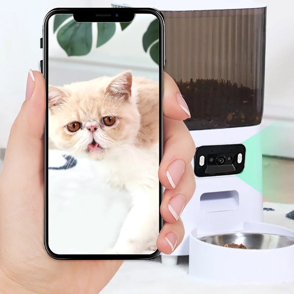 Automatic Pet Feeder